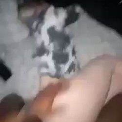 watch my girlfriend take bbc