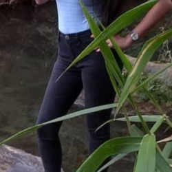 Namorada Nerd do corno manso