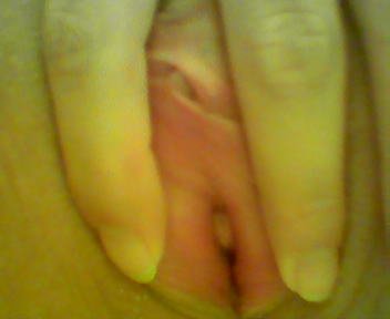 Submitted Webslut #gRWLBNfQ