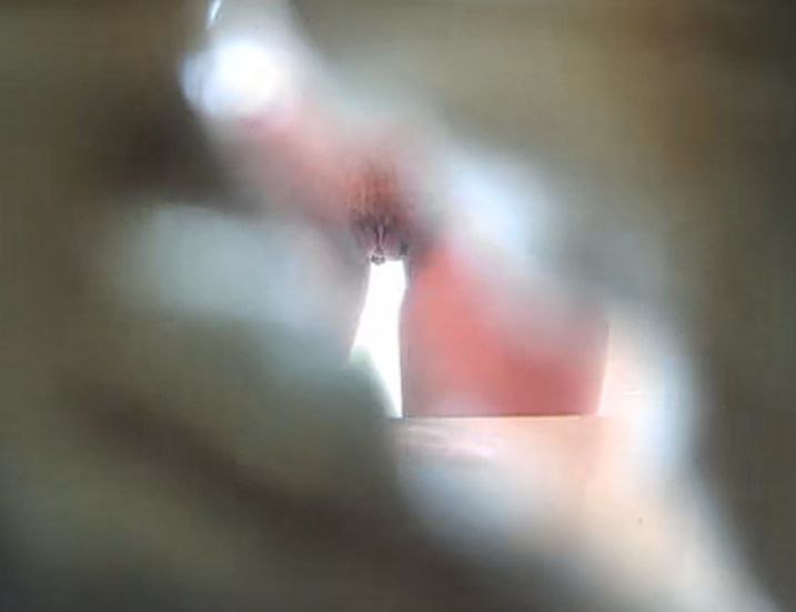 C's spied cunt #l1zJKCS3