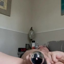close up kitty play