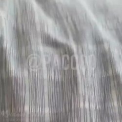 Yasmin_Pariz deu a buceta pro Paccoo meter a pica