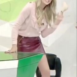 Renata Fan