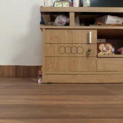 Asian Slut Plays Pussy