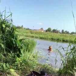 Swimming Naked In River