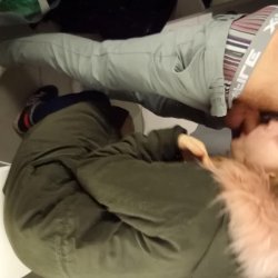 Blowjob In Fitting Room