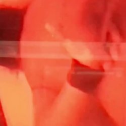 Stolen home video