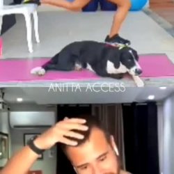 Anitta #272