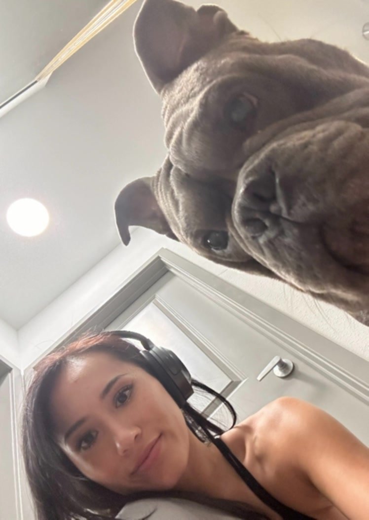 I like dogs and dog style, how about you #DKXkS1g0