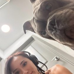 I like dogs and dog style, how about you