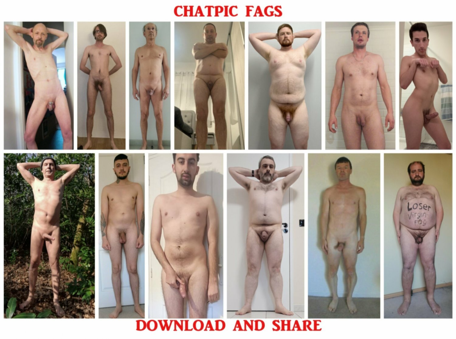 Collage fags #h3gy9xzP