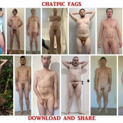 Collage fags