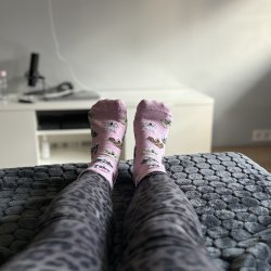 ass or boobs?