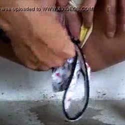 Corrid4 orina put4 dandose duro chep4 linda y deliciosa.