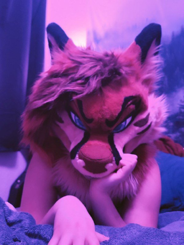 [FURRY] 😡🇲🇽 mexican demi-bisexual shepard girl (mëäņșħëp) #3n5WB6X3