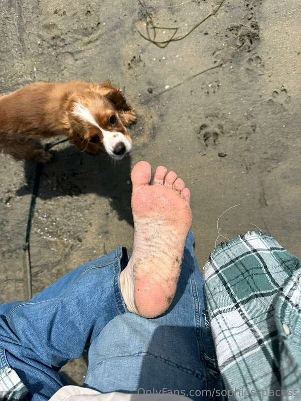 Tiktoker's soles #4ibPhVfm