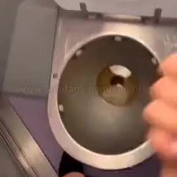 Candice In The Toilet
