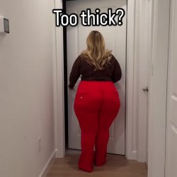 Dani