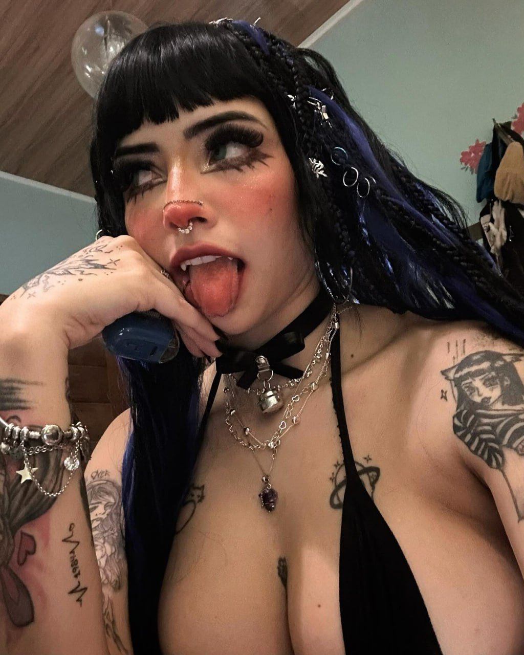 cdrid6ix Yasmin cat yasmincat #cDRiD6iX