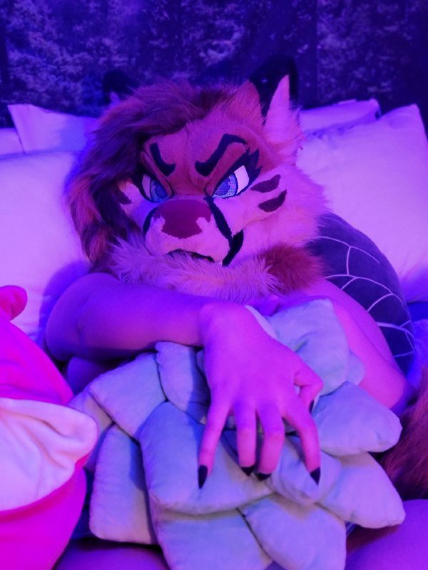 [FURRY] 😡🇲🇽 mexican demi-bisexual shepard girl (mëäņșħëp) #CLqqwLZx
