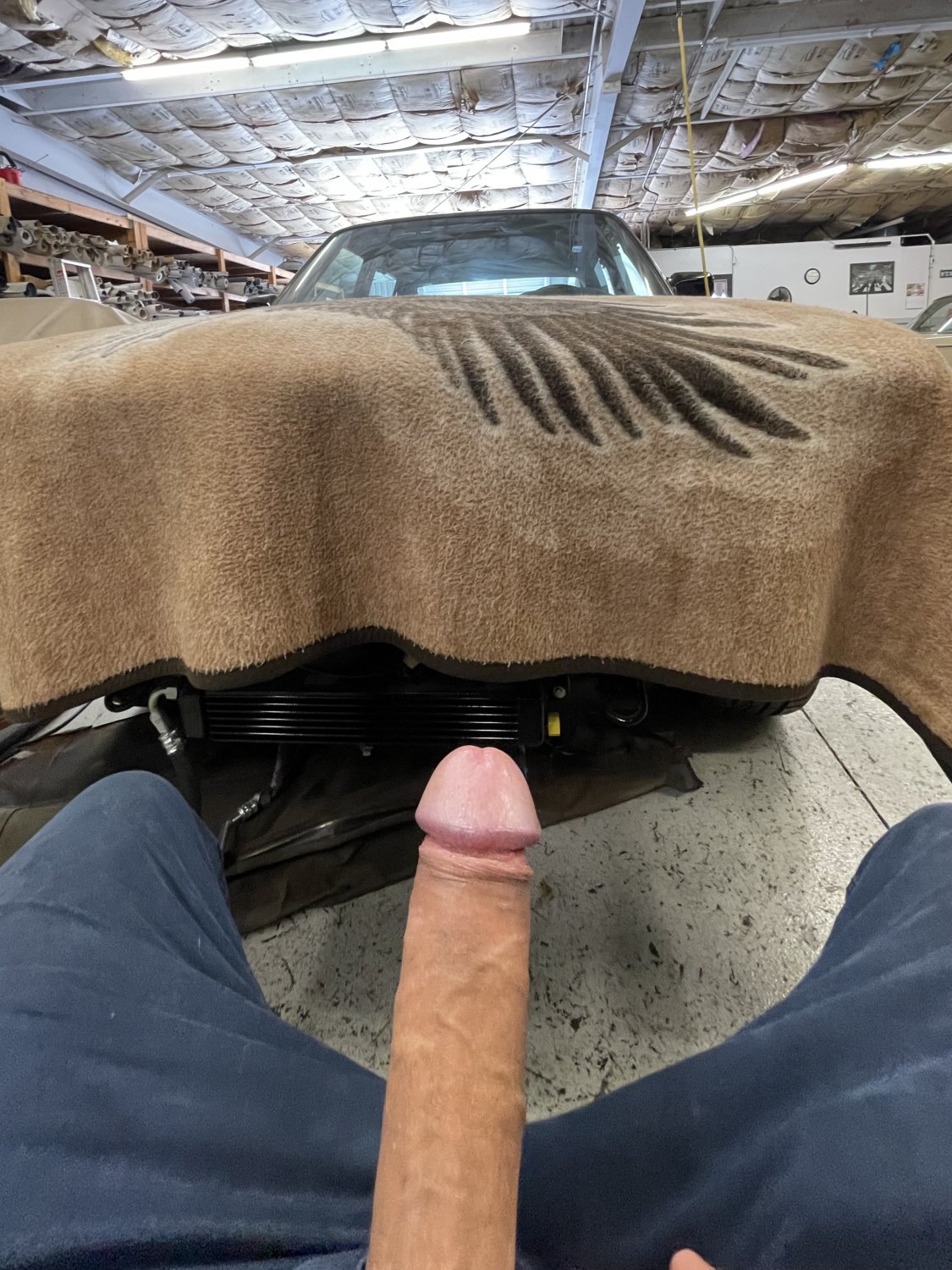 You like my cock #g6D5Ynwk