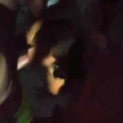 Slut in gangbang