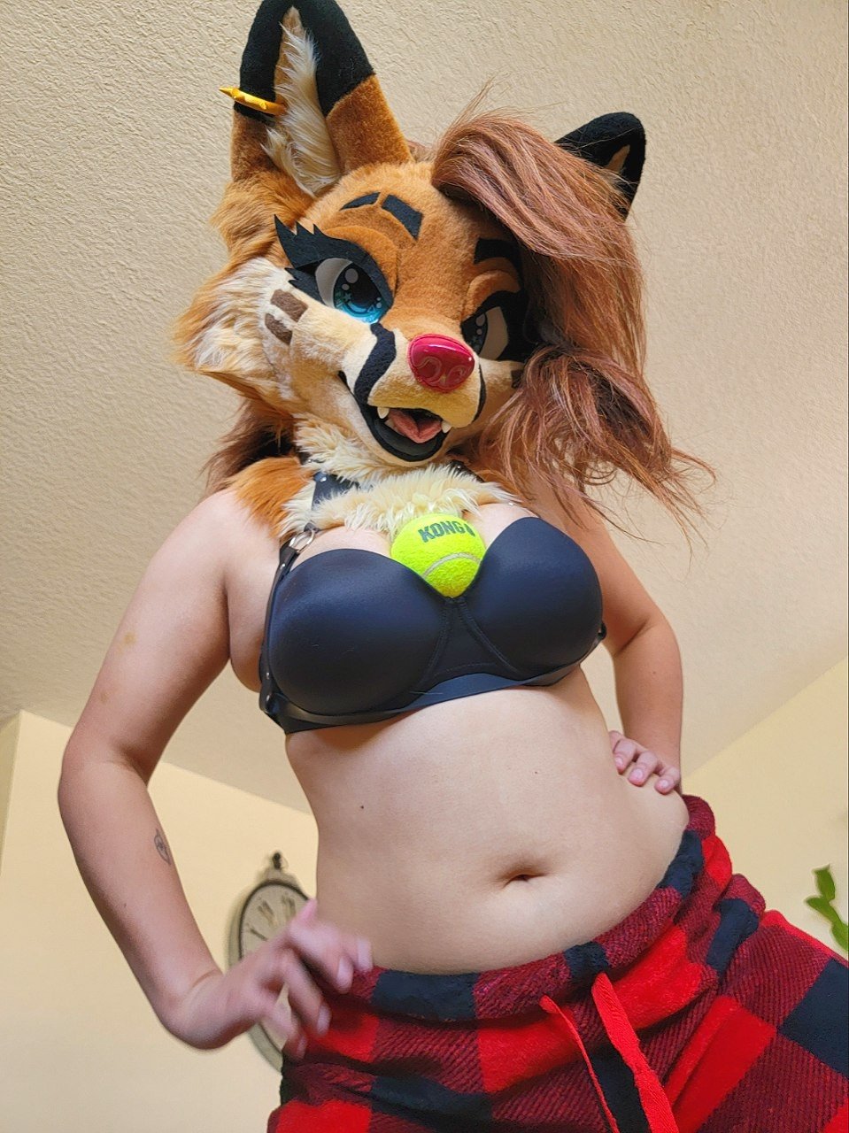 [FURRY] 😡🇲🇽 mexican demi-bisexual shepard girl (mëäņșħëp) #H2mvsASj