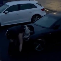 Spy cam neighbours