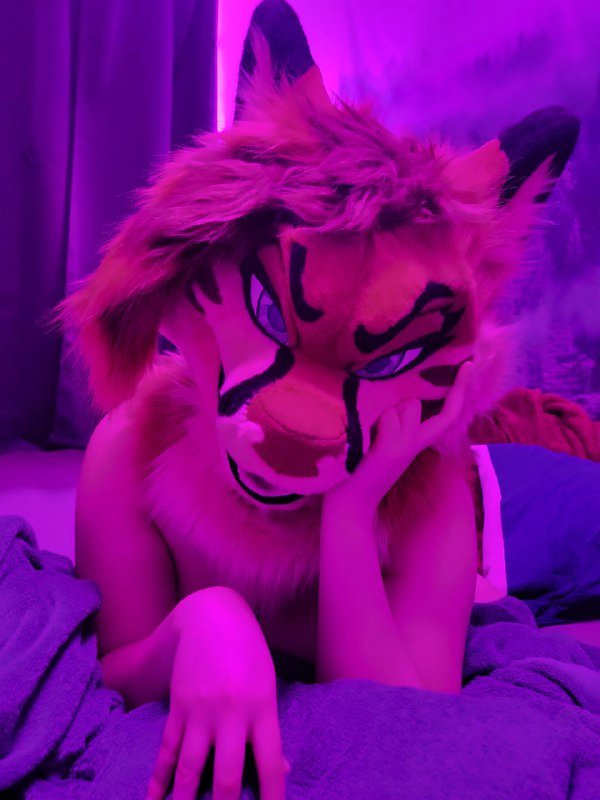 [FURRY] 😡🇲🇽 mexican demi-bisexual shepard girl (mëäņșħëp) #HN251eT0