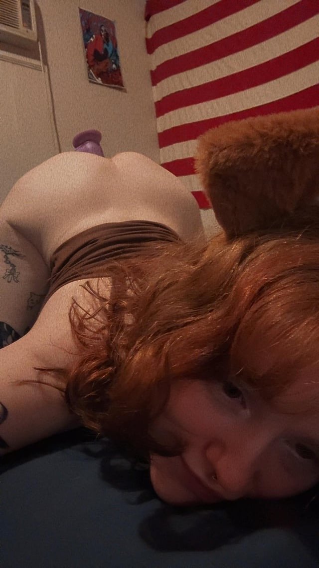 Slutty Morgie is your playful puppy #INAbMrbp