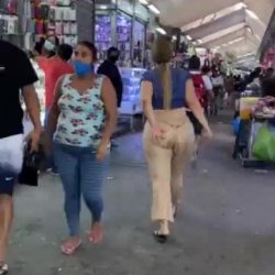 Dejarías salir a tu hembra así