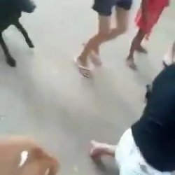 Brigas por causa de macho.