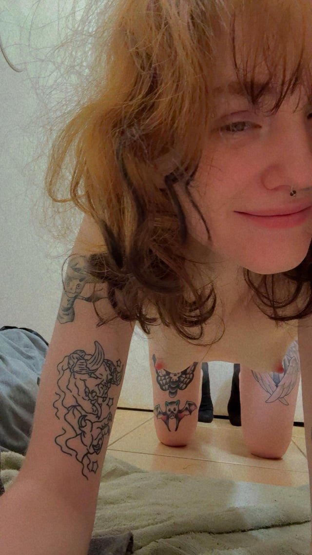 Slutty Morgie is your playful puppy #mOvHjTmo