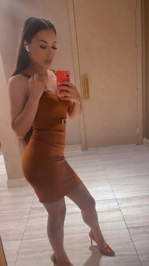 23 Year Old Arab escort in Bay Area and surrounding area #NnvfDn2h