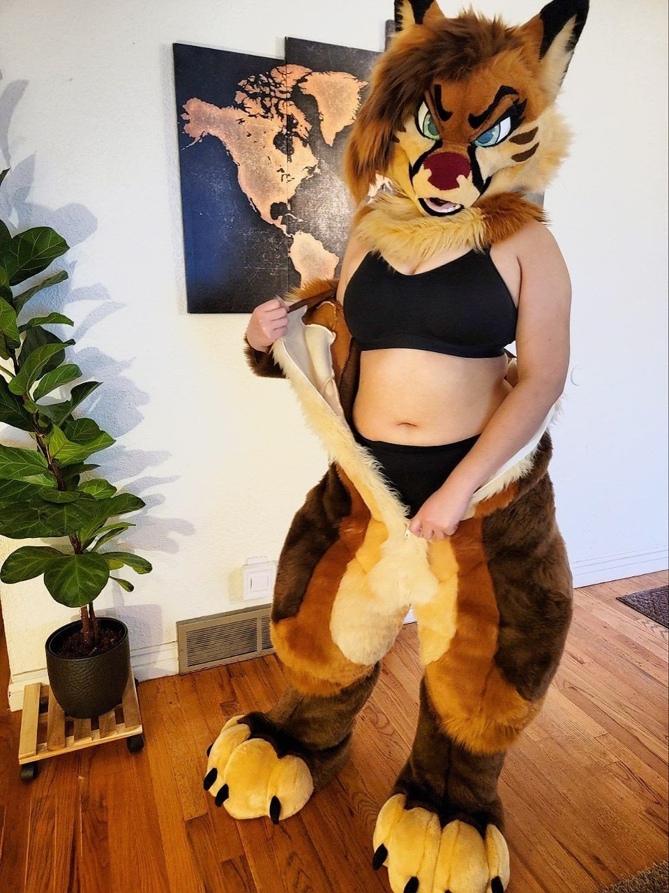 [FURRY] 😡🇲🇽 mexican demi-bisexual shepard girl (mëäņșħëp) #OecdvrUR