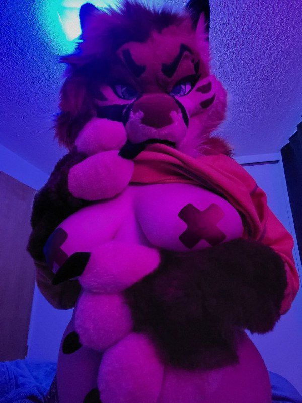 [FURRY] 😡🇲🇽 mexican demi-bisexual shepard girl (mëäņșħëp) #OidQTnWp