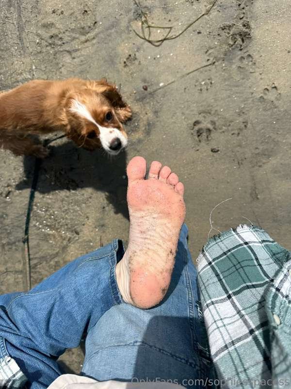 Tiktoker's soles #pieepVQw