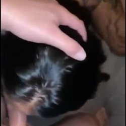 Takes facial and sucks dick with a great view