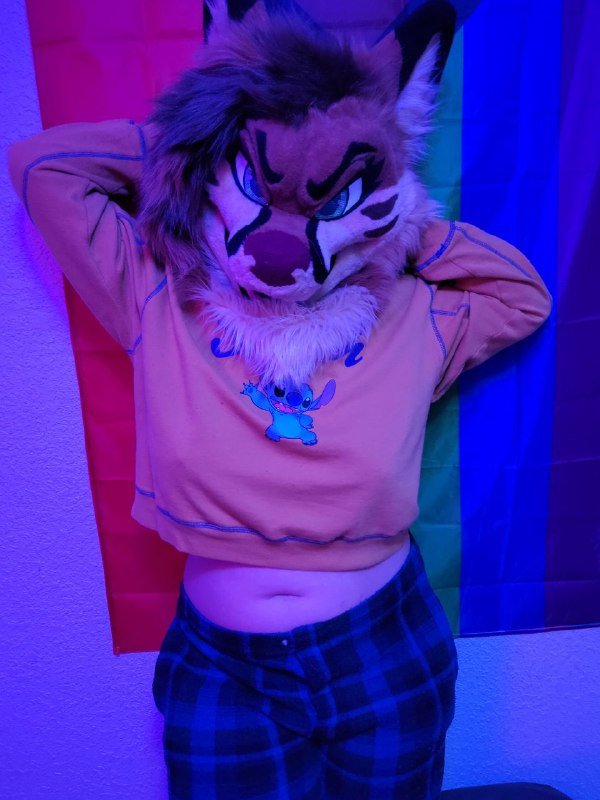 [FURRY] 😡🇲🇽 mexican demi-bisexual shepard girl (mëäņșħëp) #PVGd5S0m