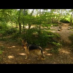 Chloe nude walk in the uk