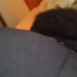 hard doggystyle with big ass cheating ebony wife I found her at cheatingxx.mom