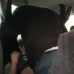 Amigos para todas as horas