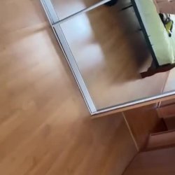 pendeja divina de perrito🔥