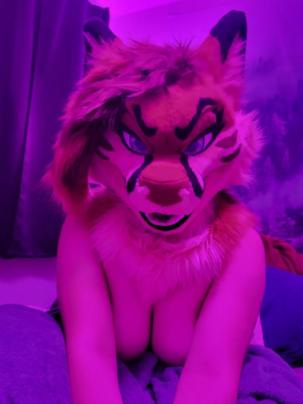 [FURRY] 😡🇲🇽 mexican demi-bisexual shepard girl (mëäņșħëp) #sB6VGXi4