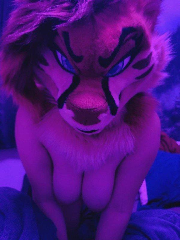 [FURRY] 😡🇲🇽 mexican demi-bisexual shepard girl (mëäņșħëp) #soPl1gcy
