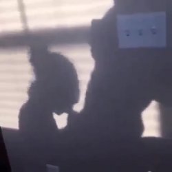 shadow fellatio