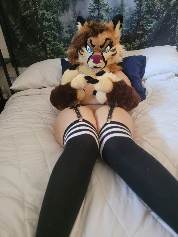 [FURRY] 😡🇲🇽 mexican demi-bisexual shepard girl (mëäņșħëp) #T5YBD2si