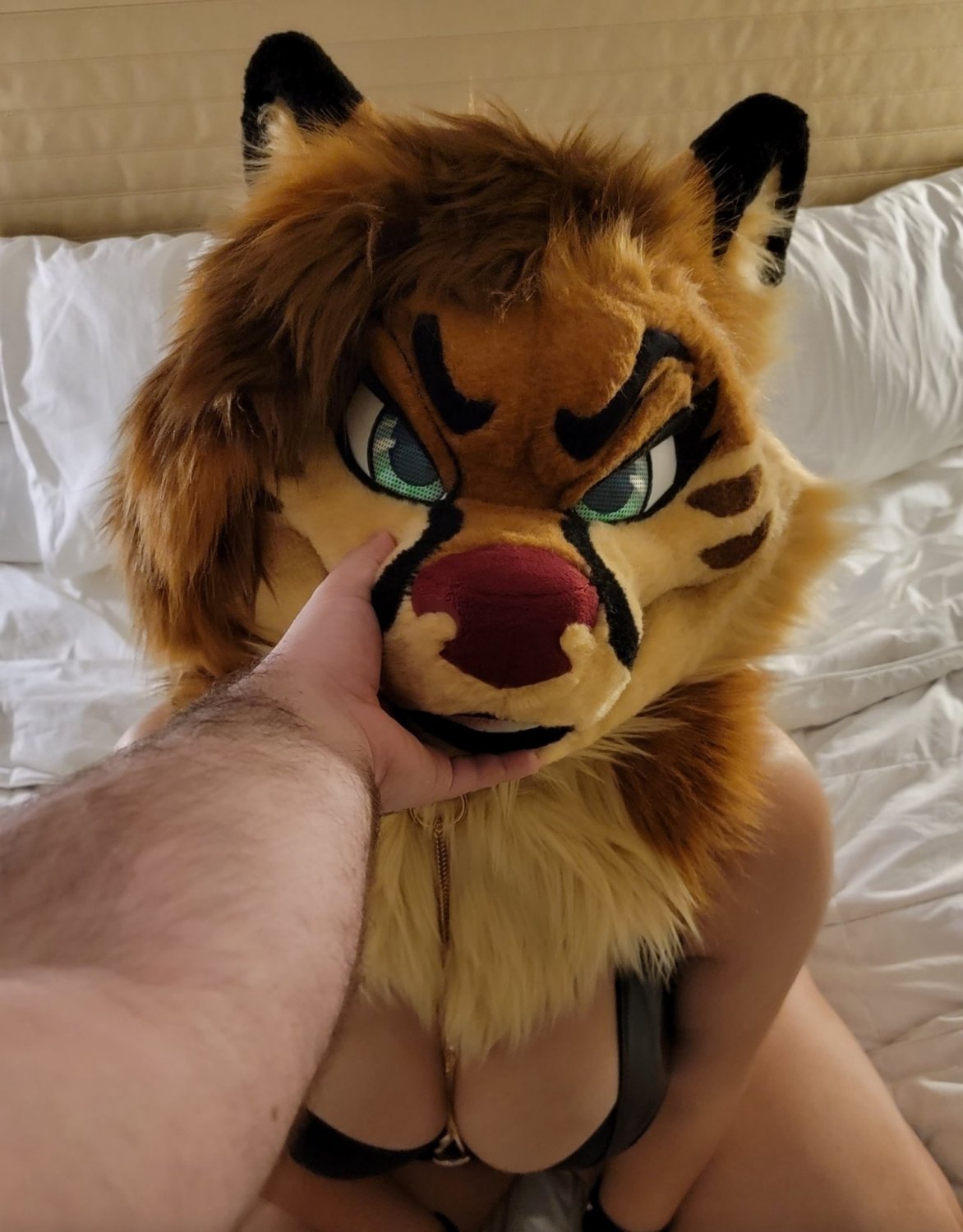 [FURRY] 😡🇲🇽 mexican demi-bisexual shepard girl (mëäņșħëp) #TpCWcgBc