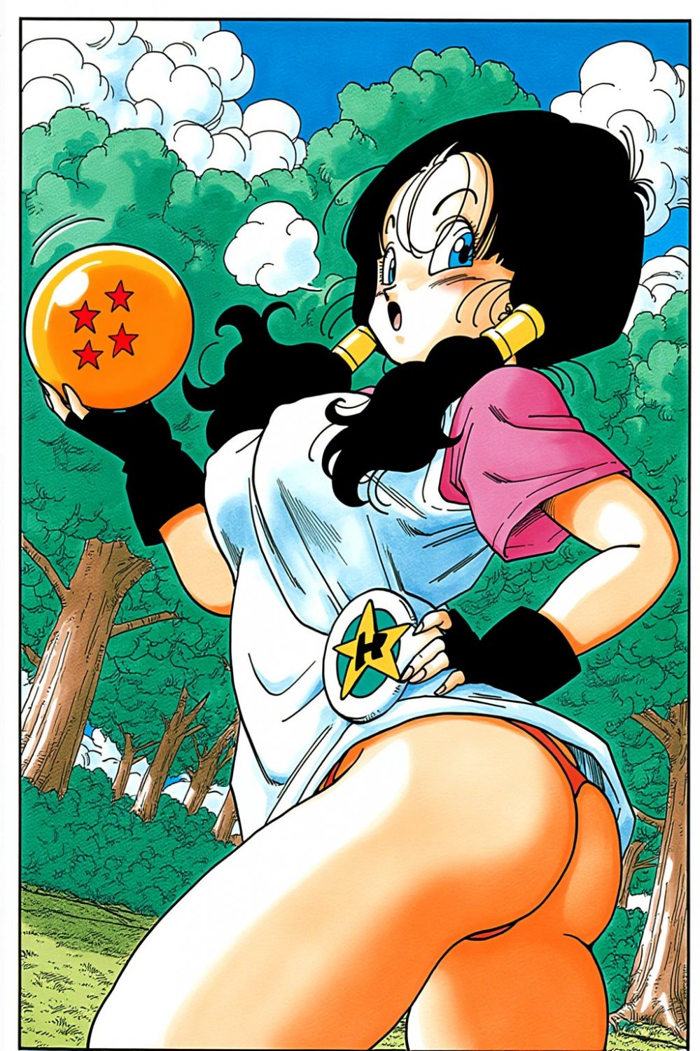 Videl #U2nqyikP