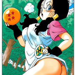 Videl